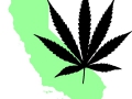 california-cannabis-leaf.jpg