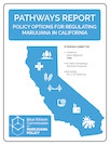 brc-pathways-report.pdf