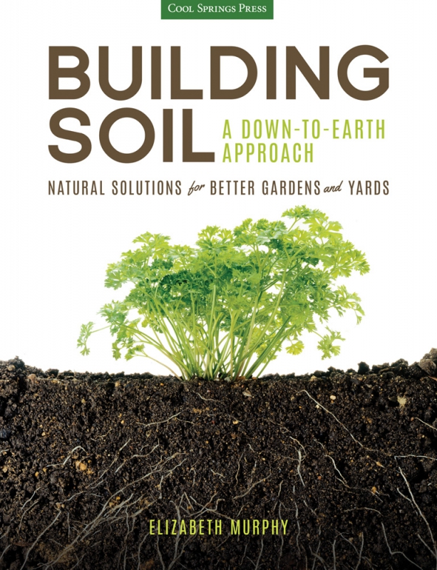 800_building_soil.jpg 