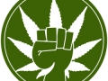 cannabis-leaf-fist.jpg