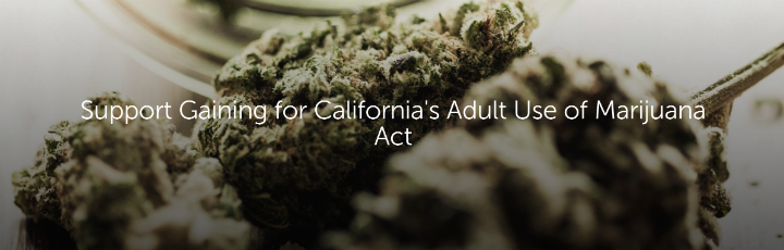 cannabis-california-auma.png 