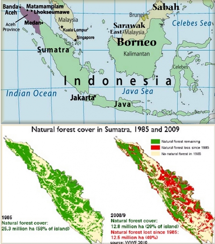 800_leuser_ecosystem_sumatra.jpg 