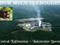 120_palm_oil_in_central_kalimantan.jpg