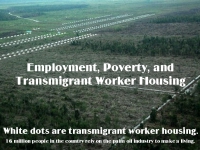 200_transmigrant_worker_housing_palm_oil_industry.jpg