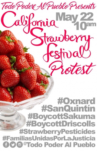sm_oxnard-strawberry-festival-protest-2016.jpg 