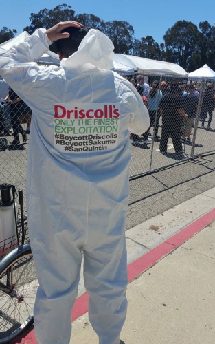 sm_boycott-driscolls-oxnard-strawberry-festival_8_1.jpg 