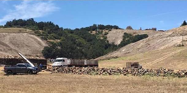 deforestation-san-luis-obispo.jpg 