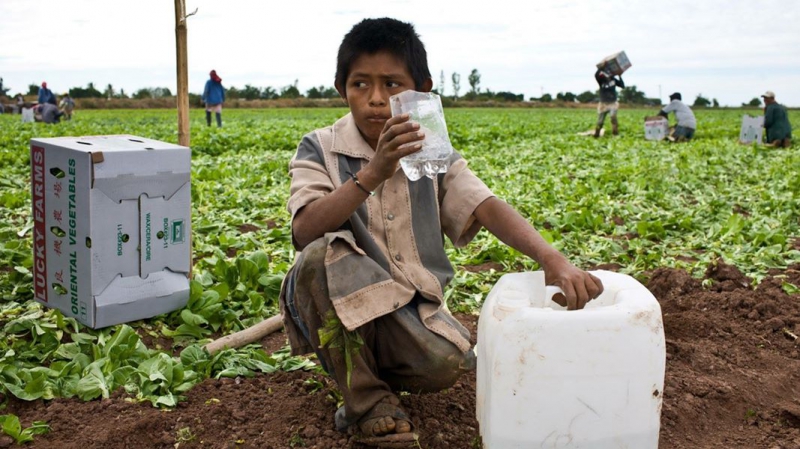 sm_mexican_baja_child_farm_worker.jpg 