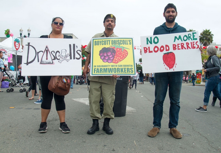 sm_watsonville-strawberry-festival_15_8-6-16.jpg 