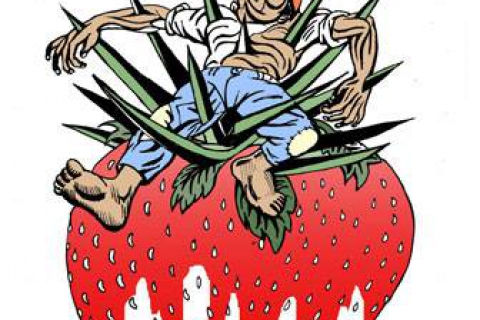 farmworker_on_strawberry_killed_graphic.jpg