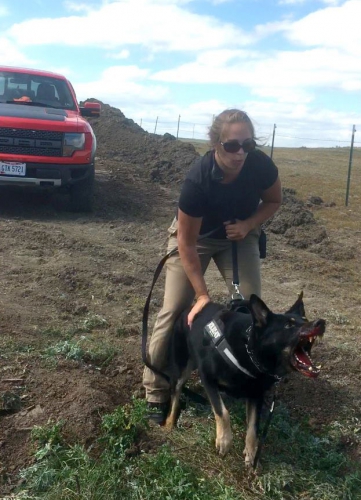 sm_dakota_access_pipeline_security_dogs_attack_protesters.jpg 