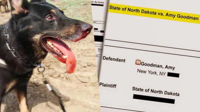 north_dakota_dogs.jpg 