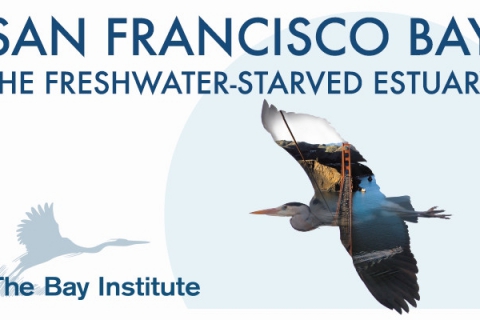 freshwater_starved_estuary_cover.jpg