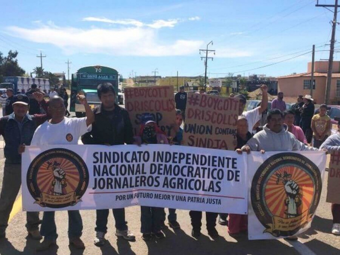 sm_jornaleros-3mar-2017-1.jpg 