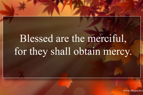 480__ab4merciful_1.jpg