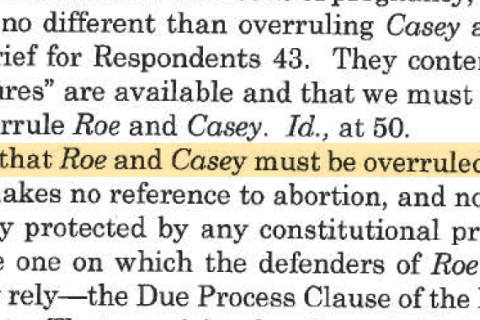 480_scotus-alito-overrule-roe-2022.jpg