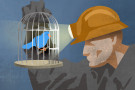 135_crimethinc-canary-twitter_header.jpg