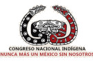 135____mex_cni__logo.jpg