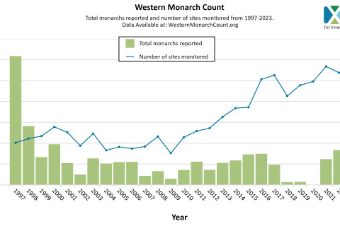 480_western_monarch_count_1997_2023_c.xercessociety.jpg