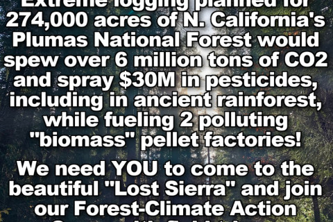 Come out to the Lost Sierra Forest-Climate Action Camp from May 23-29 in the Plumas N.F.!