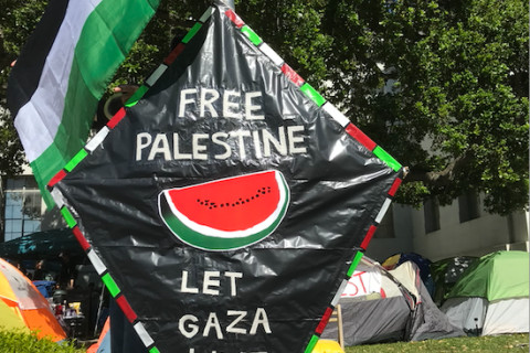 Free Palestine Kite