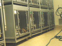beagle in HLS lab