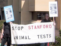 stop stanford animal tests