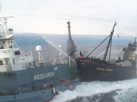 Sea Shepherd Returns From the Whale Wars
