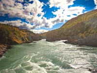 Capitola Home Depot Targeted With Literature to Save Patagonia