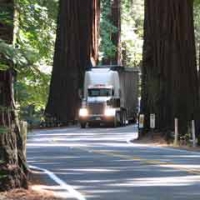 Protest Planned as Caltrans Prepares to Widen US-101 Through Richardson Grove