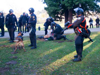 Police Raid and Destroy Occupy Santa Cruz Encampment in San Lorenzo Park