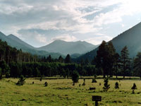 Save the San Francisco Peaks