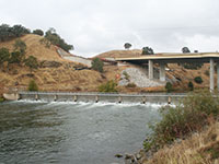 Steelhead Suffer From Emptying of Northern California Reservoirs