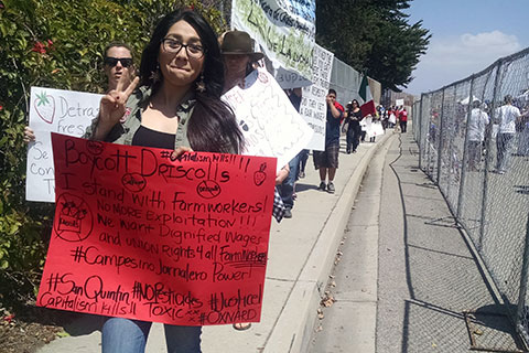 Protests Continue at California Strawberry Festival in Oxnard