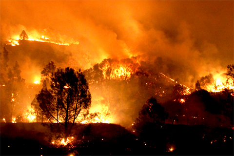 Fleeing Inferno and Suffering Blackouts, Northern Californians Call for Takeover of PG&E