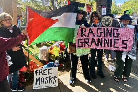 free mask and raging grannies signs and Palestinian flag and people