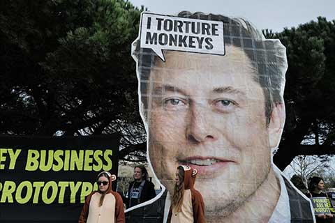 Animal Rights Activists Protest Elon Musk's Neuralink
