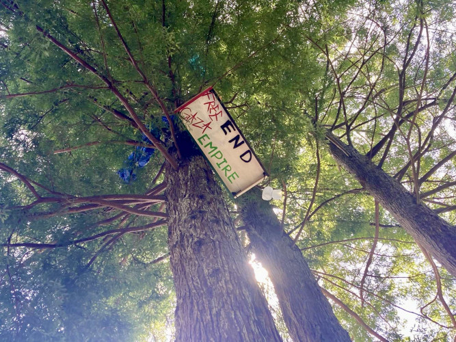 A Statement from the Tree Occupation at Cal Poly Humboldt