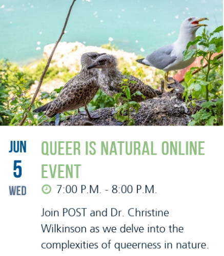 Online event: https://openspacetrust.org/event/queer-is-natural-online-event/