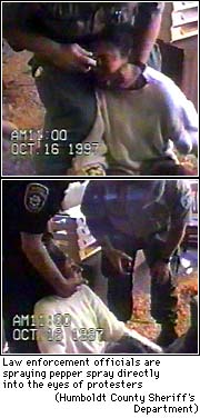 Pepper spray being applied to the eyes of a protester