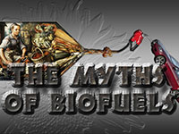 The Myths of Biofuels: A Talk with David Fridley