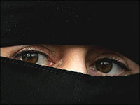 Panel Discussion in Santa Cruz on Demystifying Anarchy