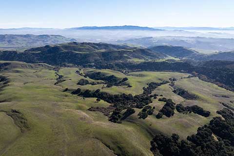 Juristac is Protected