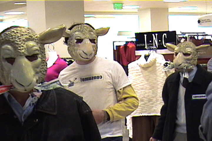 3_20sheep_20in_20store.jpg 