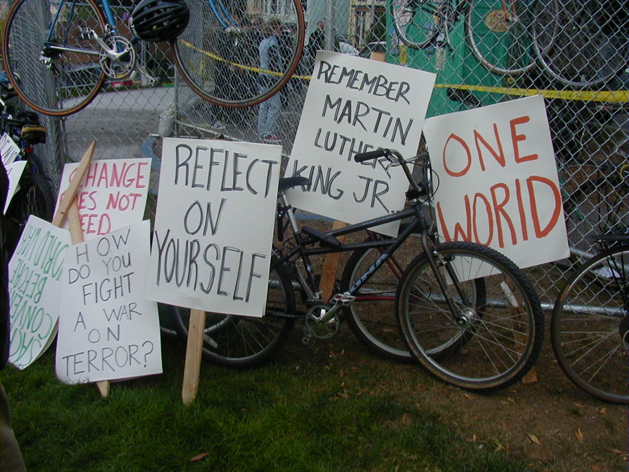 signs2.jpg 