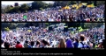 120_s29sfcrowdpanoramic_sml.jpg