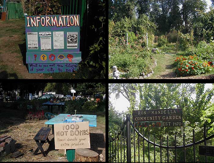 garden4.jpg 