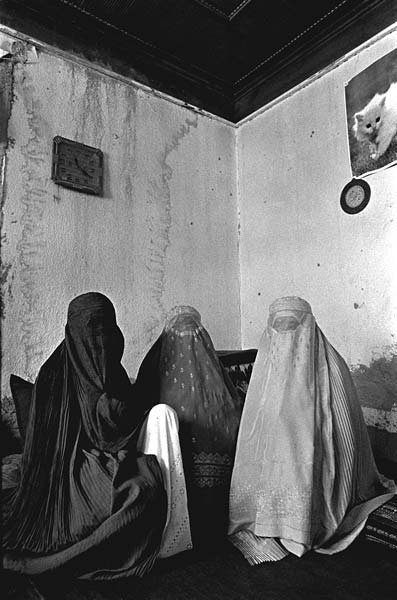 burqa3.jpg 