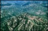 clearcuts.jpg 