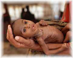 infant-dying-starvation.jpg 